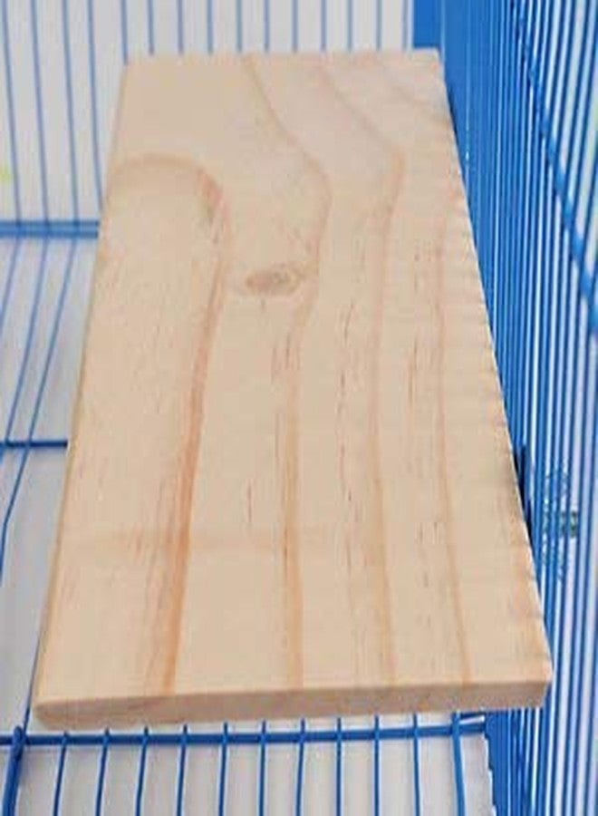 Sage Square 9 Inches / 23 cm Natural Wood Platform Cum Perch Cum Stand Bird Toy Ideal for Lovebird, Budgerigar, Sun Conure, Pionus, Quaker Parrot, Cockatiel, Finch, Canary, Budgeri (Light Weight) - Image 5